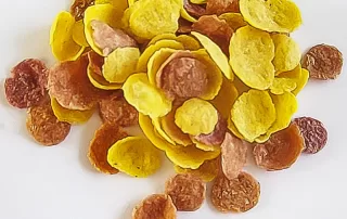 Corn flakes made by corn flakes making machine