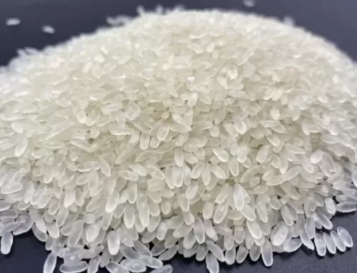 Linha de Produção de Arroz Artificial com Nutrientes 500-600 kg/h