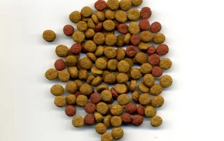 Kibbles made by Pet food making machinery