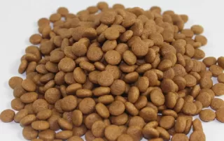 Kibbles made by pet food making machinery