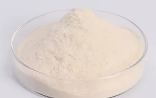 modified starch