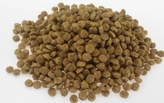 Kibbles made by pet food processing machine