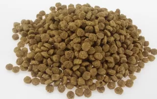 Kibbles fabricados por uma máquina de processamento de alimentos para animais de estimação