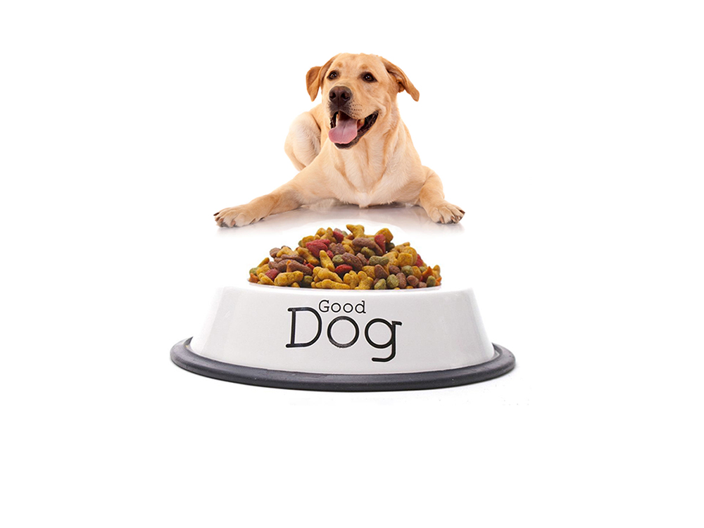 dog-foods