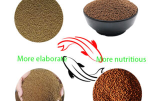 fish feed extruder