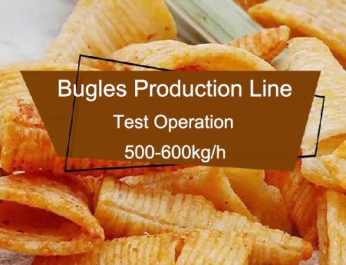 600kg/h Bugles Üretim Makinesi